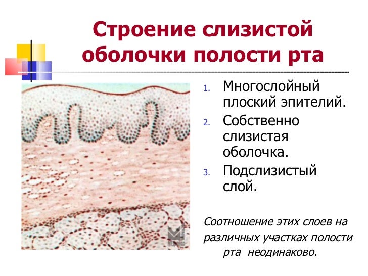 Сакура из бисера мастер класс пошаговое фото Сакура из бисера мастер класс пошаговое фото